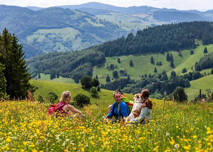 Apartment App 3309 - Schluchseestübchen-mit Indoorpool- Schluchsee